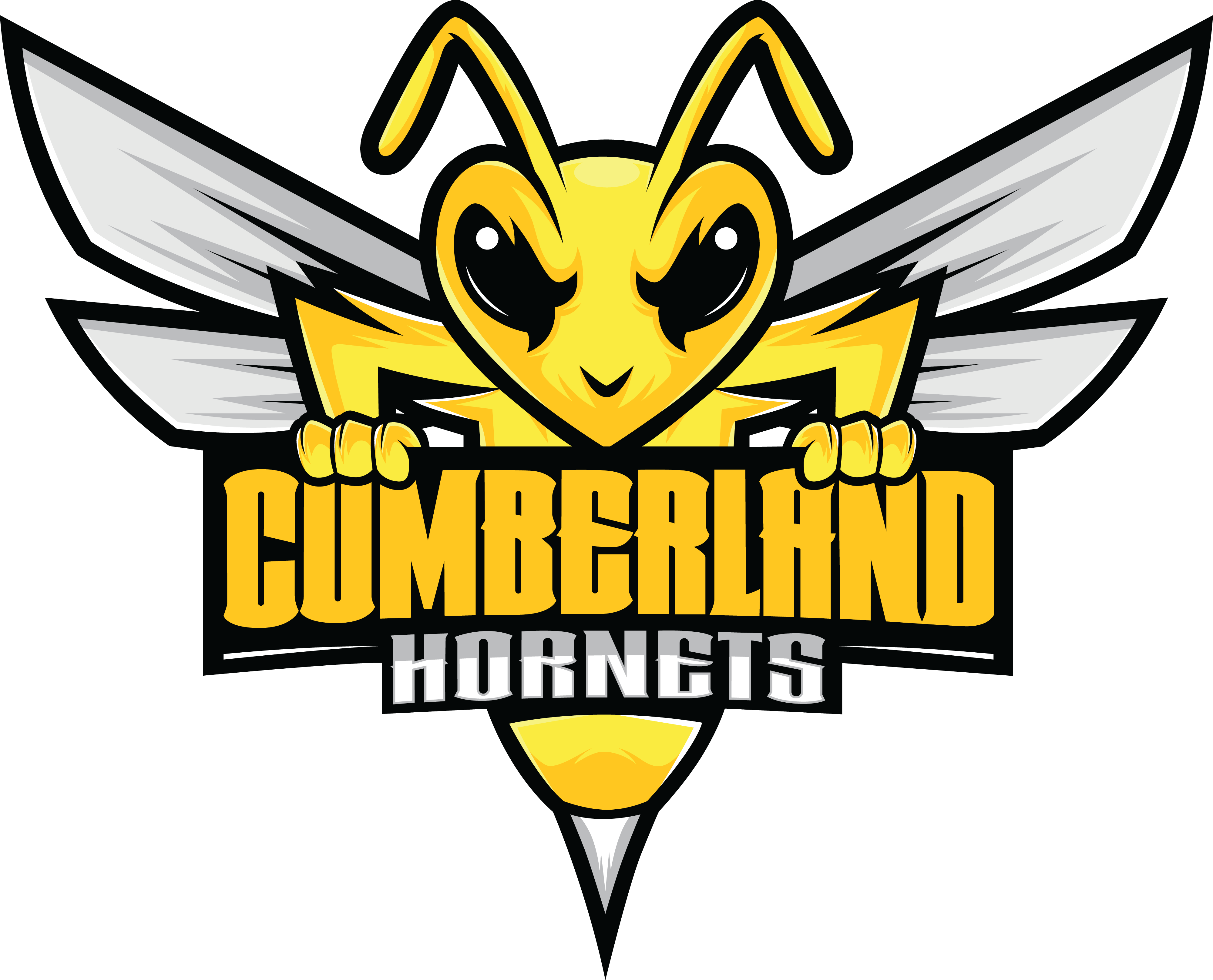 Cumberland Hornets